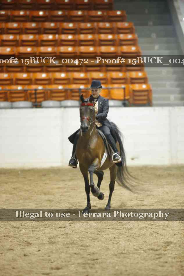 Proof 15BUCK_00472