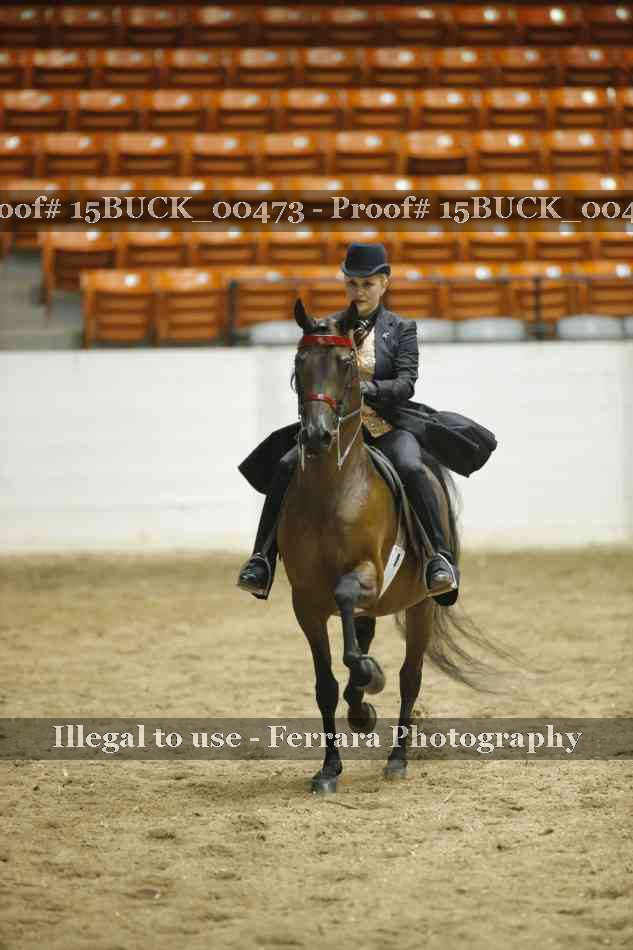 Proof 15BUCK_00473