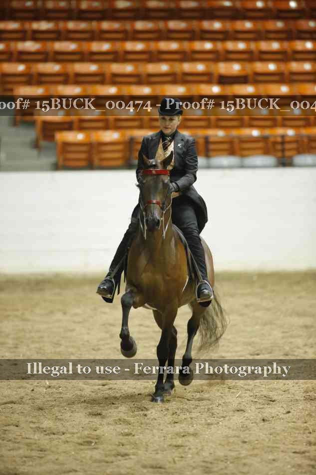 Proof 15BUCK_00474
