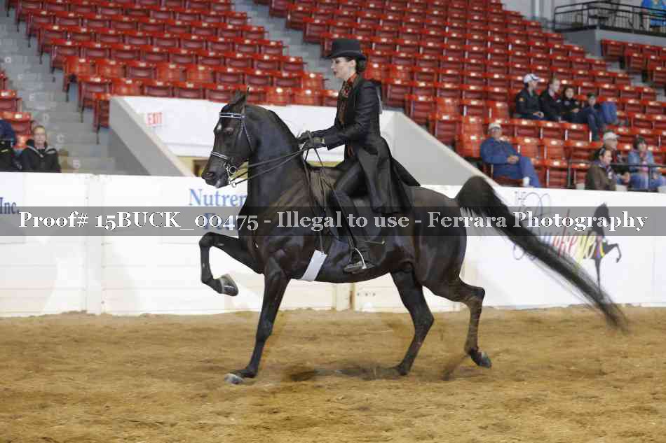 Proof 15BUCK_00475
