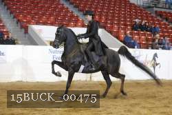 15BUCK_00475 proof