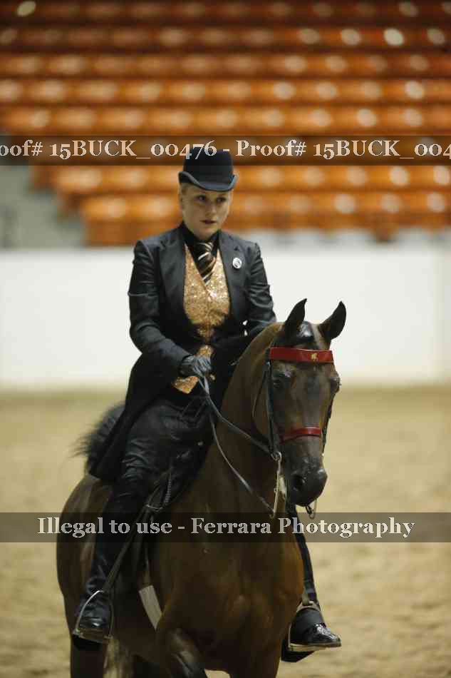 Proof 15BUCK_00476