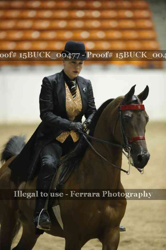 Proof 15BUCK_00477