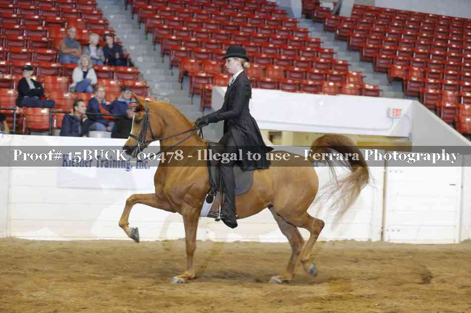 Proof 15BUCK_00478