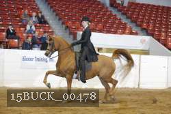 15BUCK_00478 proof