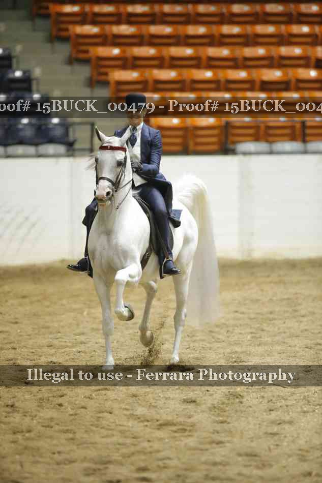 Proof 15BUCK_00479