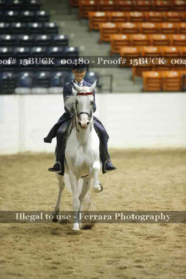 Proof 15BUCK_00480