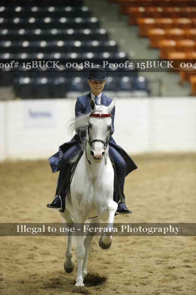 Proof 15BUCK_00481