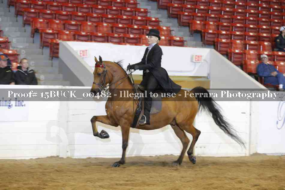 Proof 15BUCK_00482