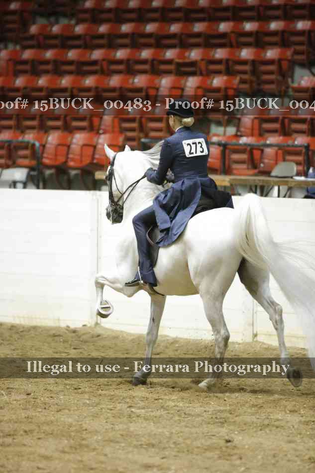 Proof 15BUCK_00483