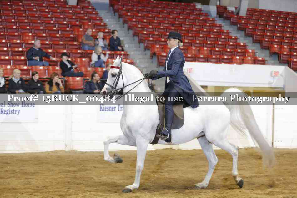 Proof 15BUCK_00484