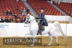 15BUCK_00484 proof