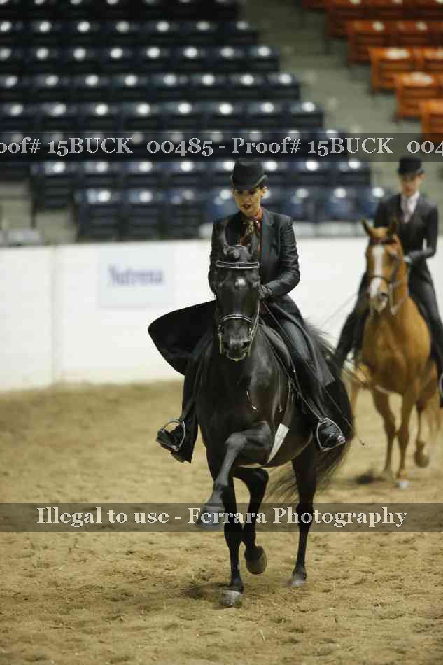 Proof 15BUCK_00485