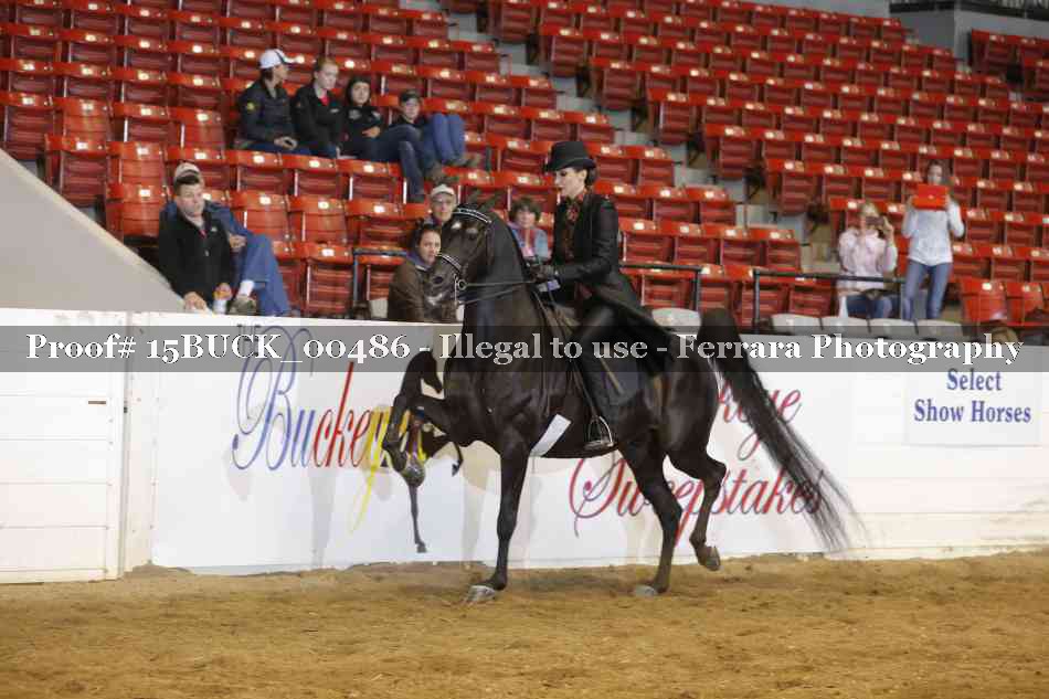 Proof 15BUCK_00486