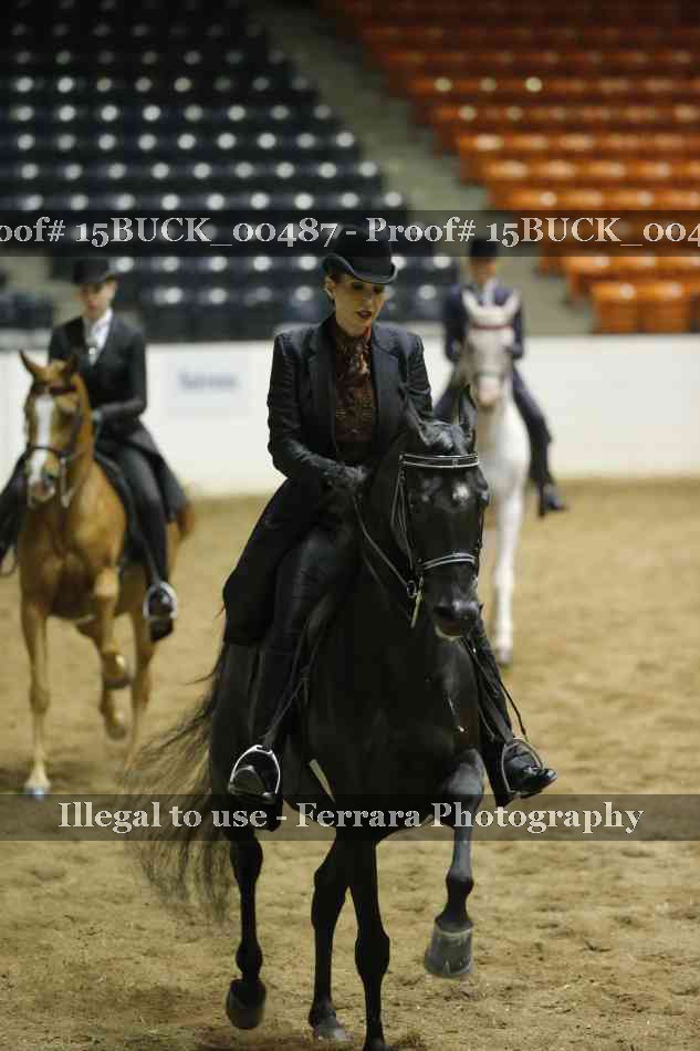 Proof 15BUCK_00487