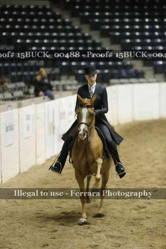 Proof 15BUCK_00488