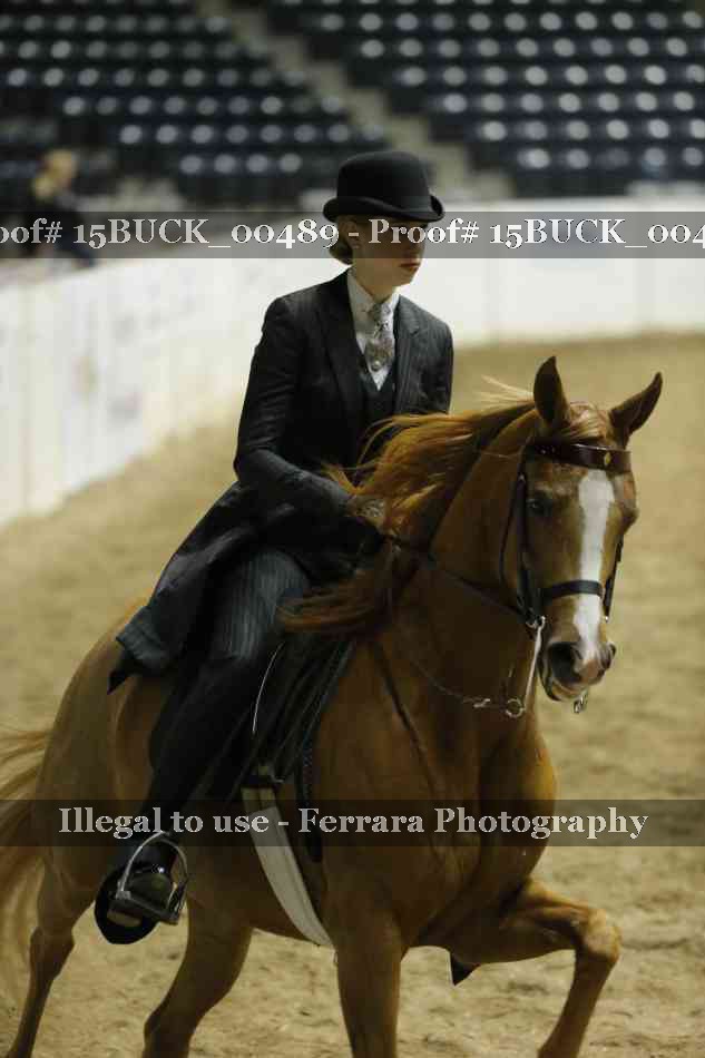 Proof 15BUCK_00489