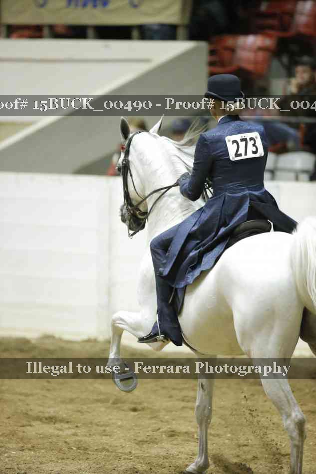 Proof 15BUCK_00490