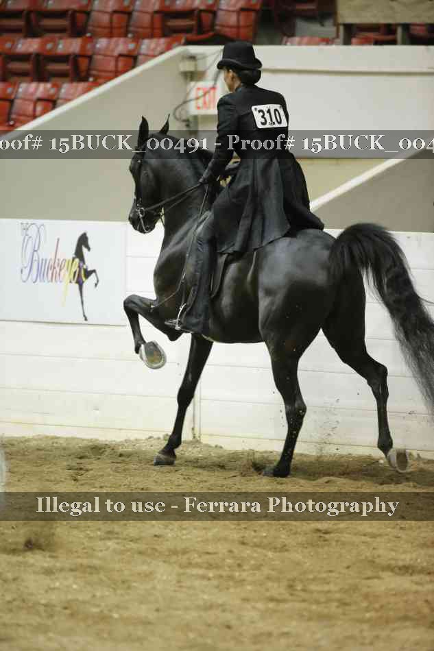 Proof 15BUCK_00491