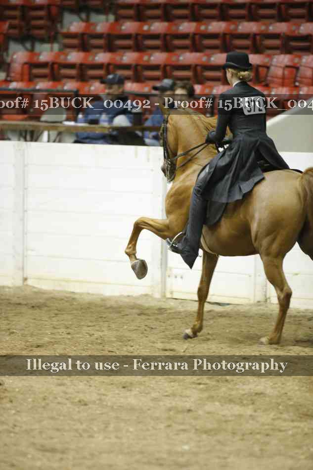 Proof 15BUCK_00492