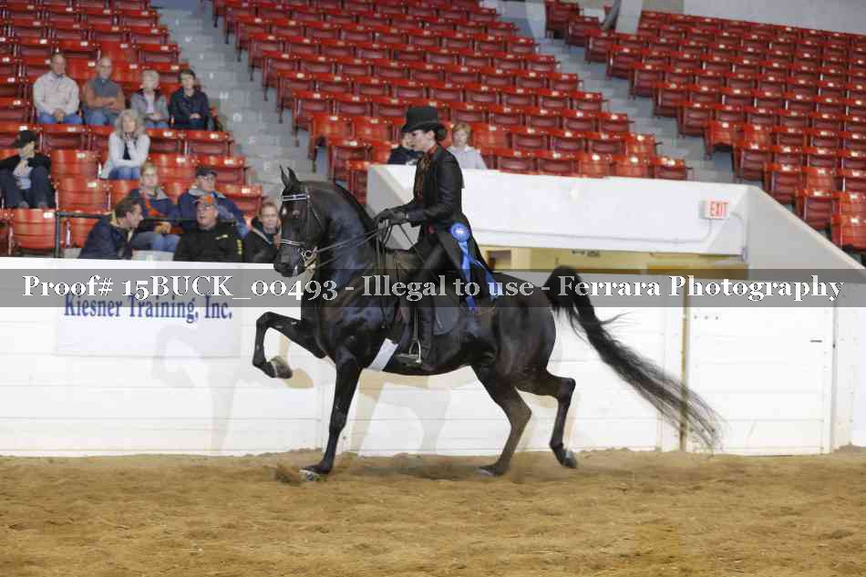 Proof 15BUCK_00493