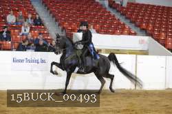 15BUCK_00493 proof