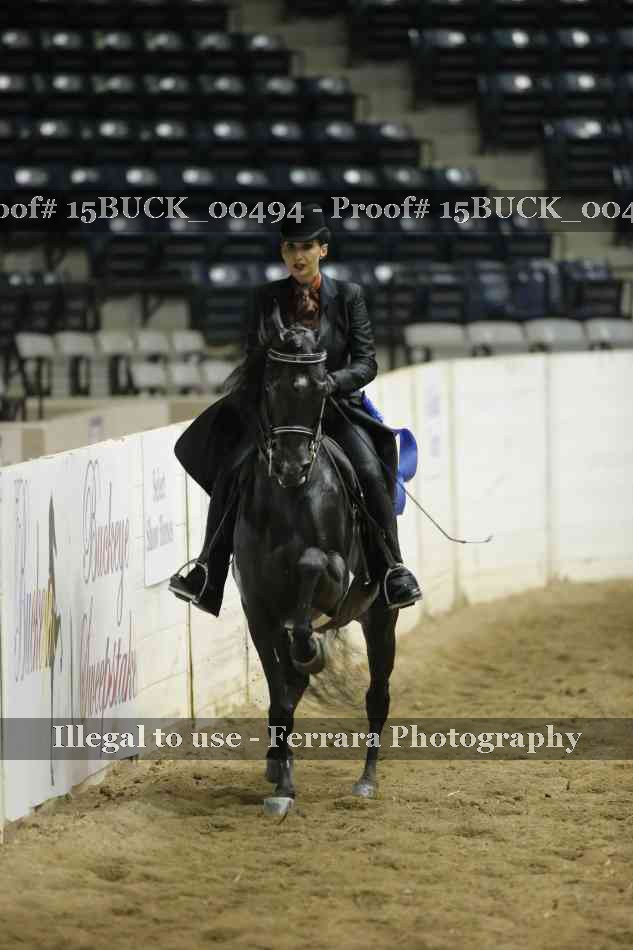 Proof 15BUCK_00494