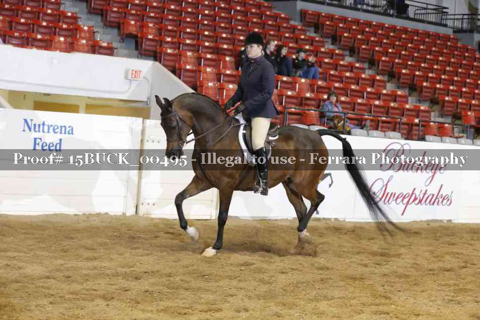 Proof 15BUCK_00495