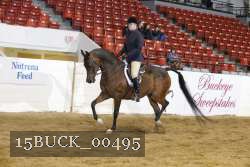 15BUCK_00495 proof