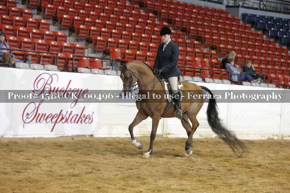 Proof 15BUCK_00496