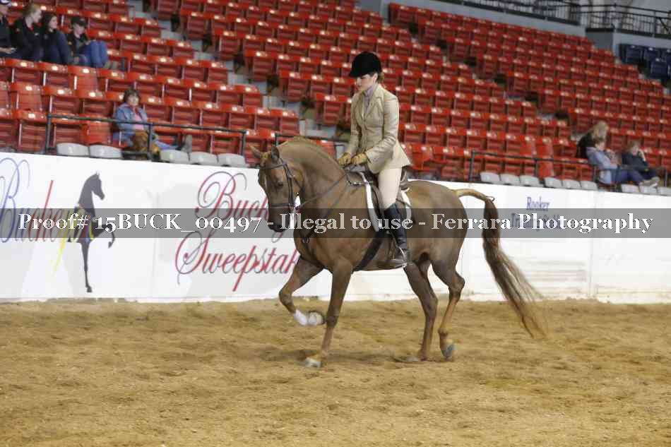 Proof 15BUCK_00497