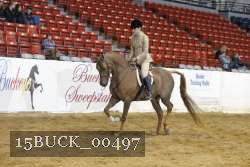 15BUCK_00497 proof