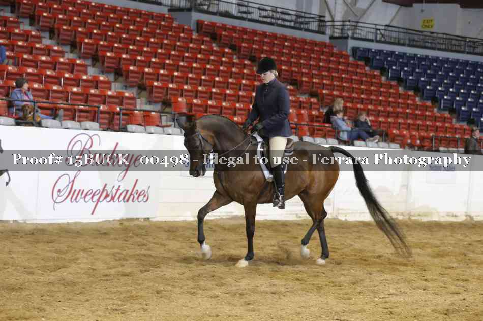 Proof 15BUCK_00498