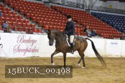 15BUCK_00498 proof