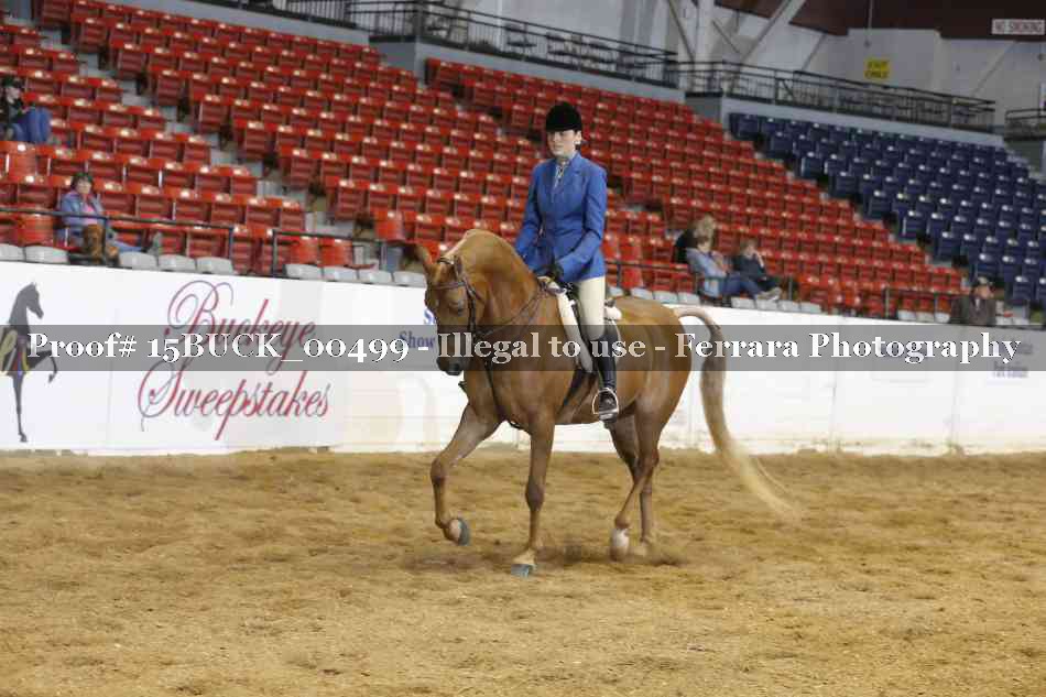 Proof 15BUCK_00499