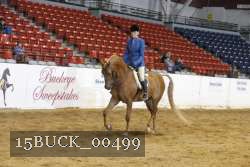 15BUCK_00499 proof