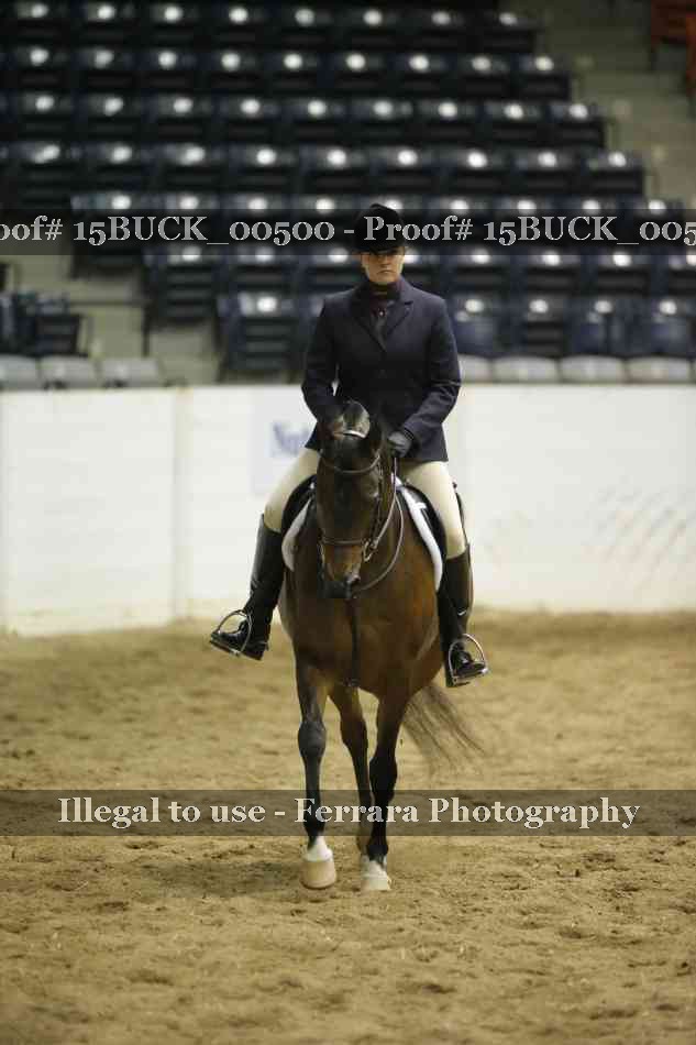 Proof 15BUCK_00500