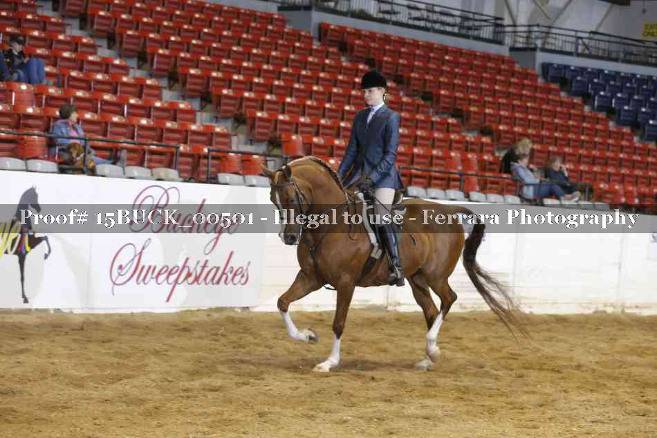 Proof 15BUCK_00501