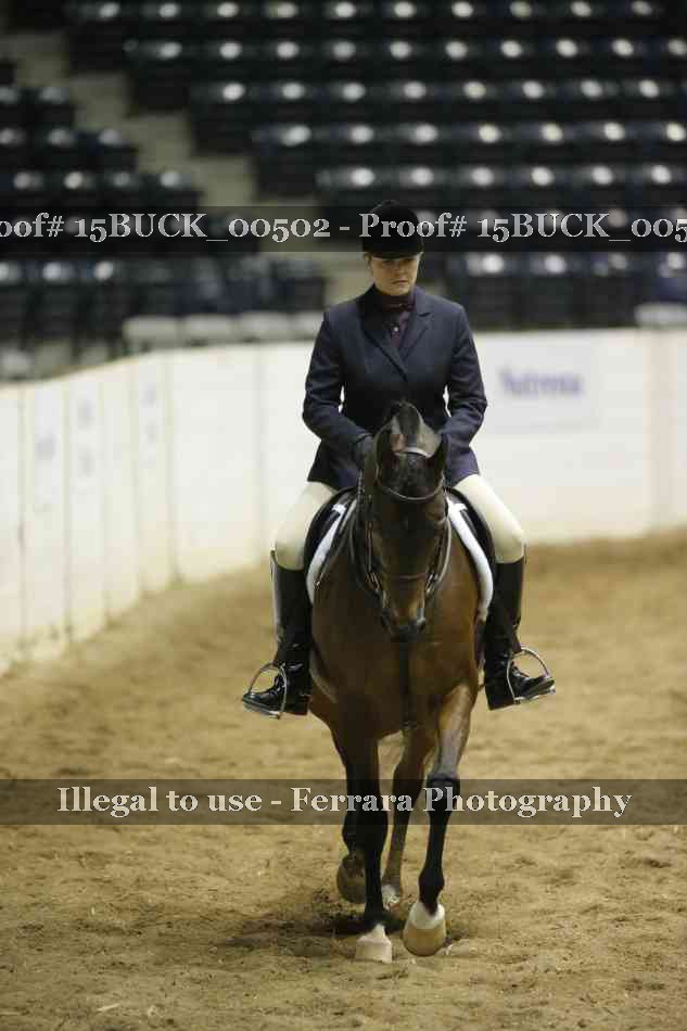 Proof 15BUCK_00502