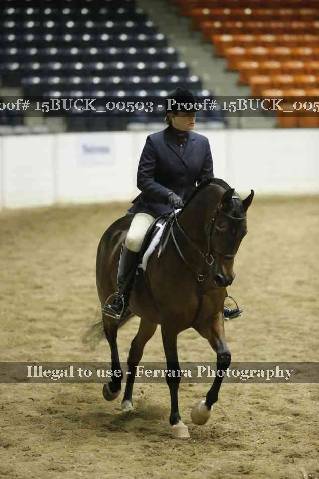Proof 15BUCK_00503