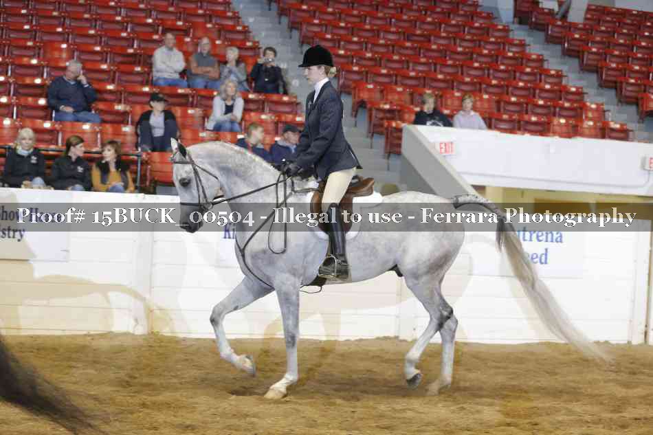 Proof 15BUCK_00504