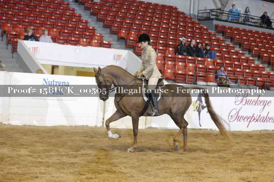 Proof 15BUCK_00505