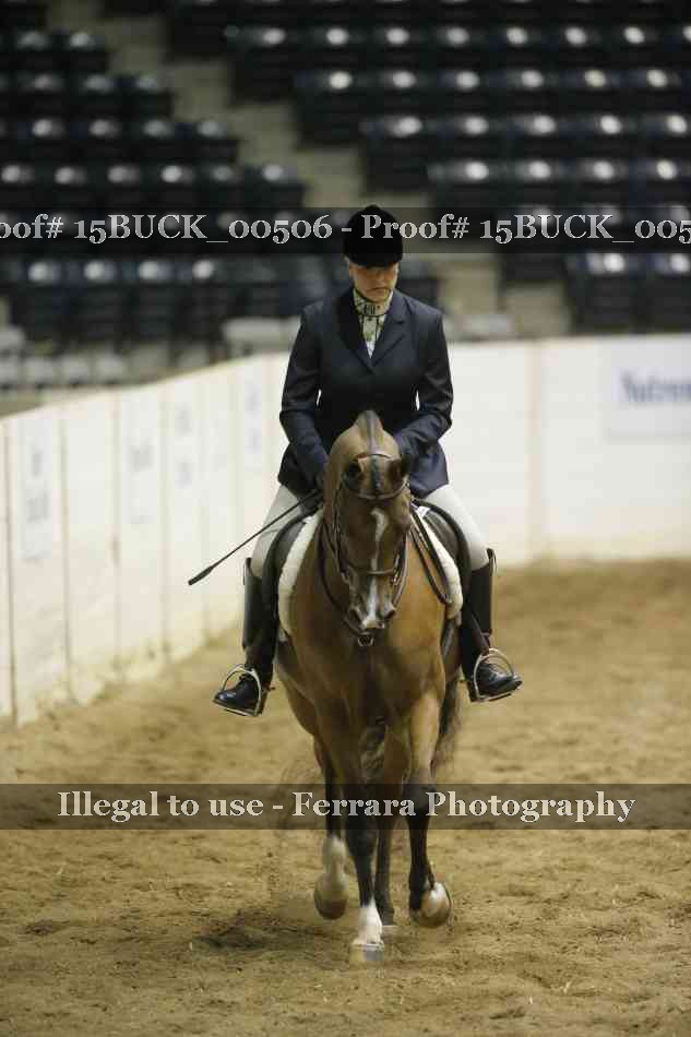 Proof 15BUCK_00506