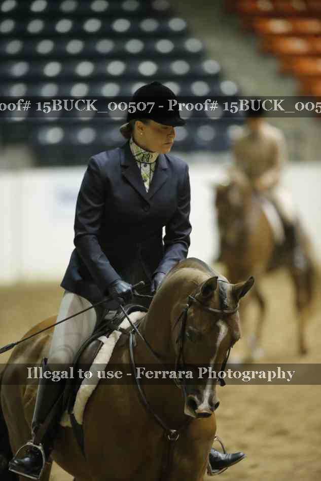 Proof 15BUCK_00507