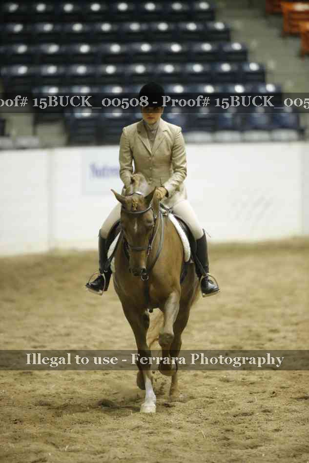 Proof 15BUCK_00508
