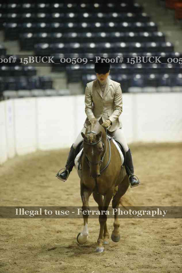 Proof 15BUCK_00509