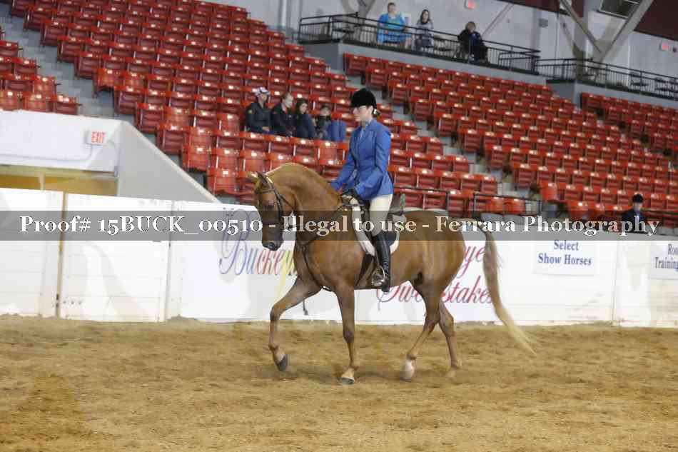 Proof 15BUCK_00510
