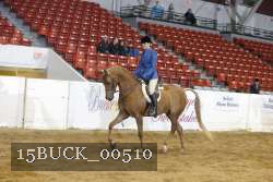 15BUCK_00510 proof