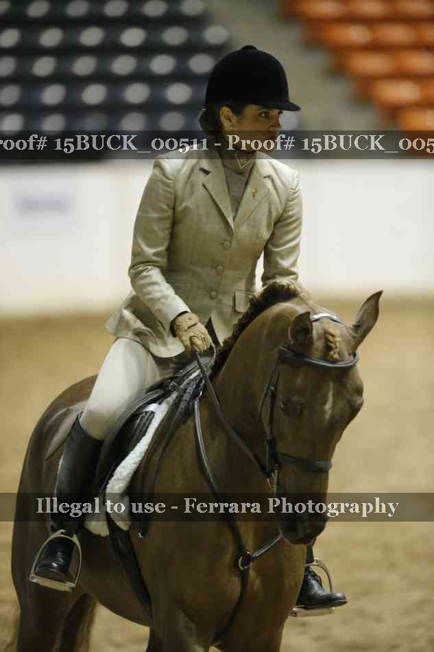 Proof 15BUCK_00511