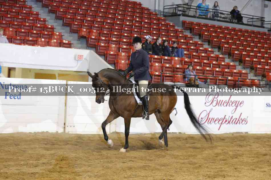 Proof 15BUCK_00512